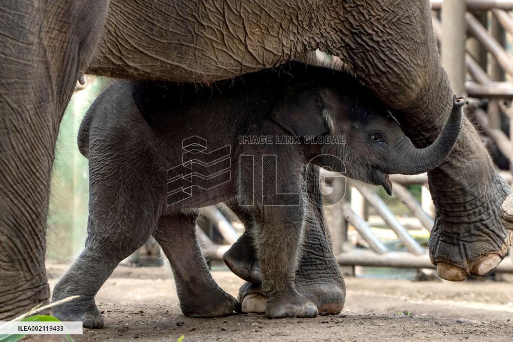XINHUA PHOTOS OF THE DAY