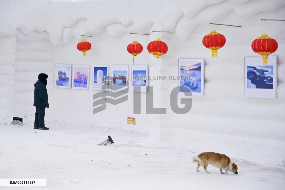 CHINA-HEILONGJIANG-WINTER TOURISM (CN)