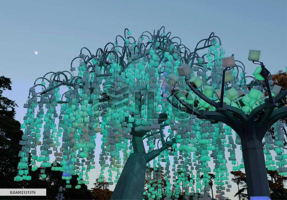 U.S.-SAN FRANCISCO-LIGHT INSTALLATIONS