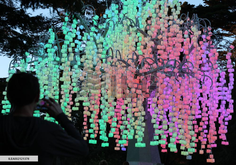 U.S.-SAN FRANCISCO-LIGHT INSTALLATIONS