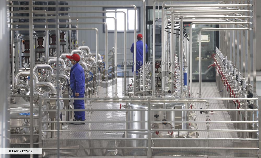 CHINA-XINJIANG-PRODUCTION (CN)