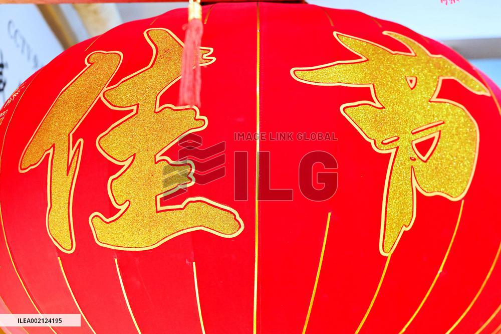 Chinese New Year Festival Products