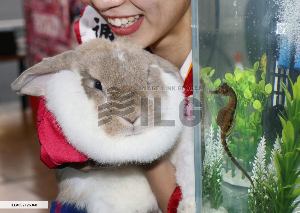 Zodiac transition ceremony