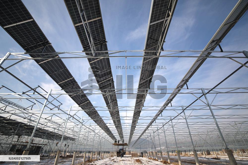 Ecological Agriculture Photovoltaic Industry