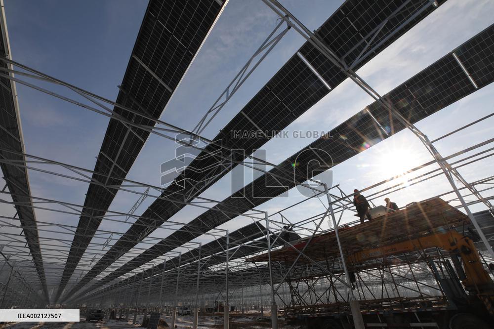 Ecological Agriculture Photovoltaic Industry