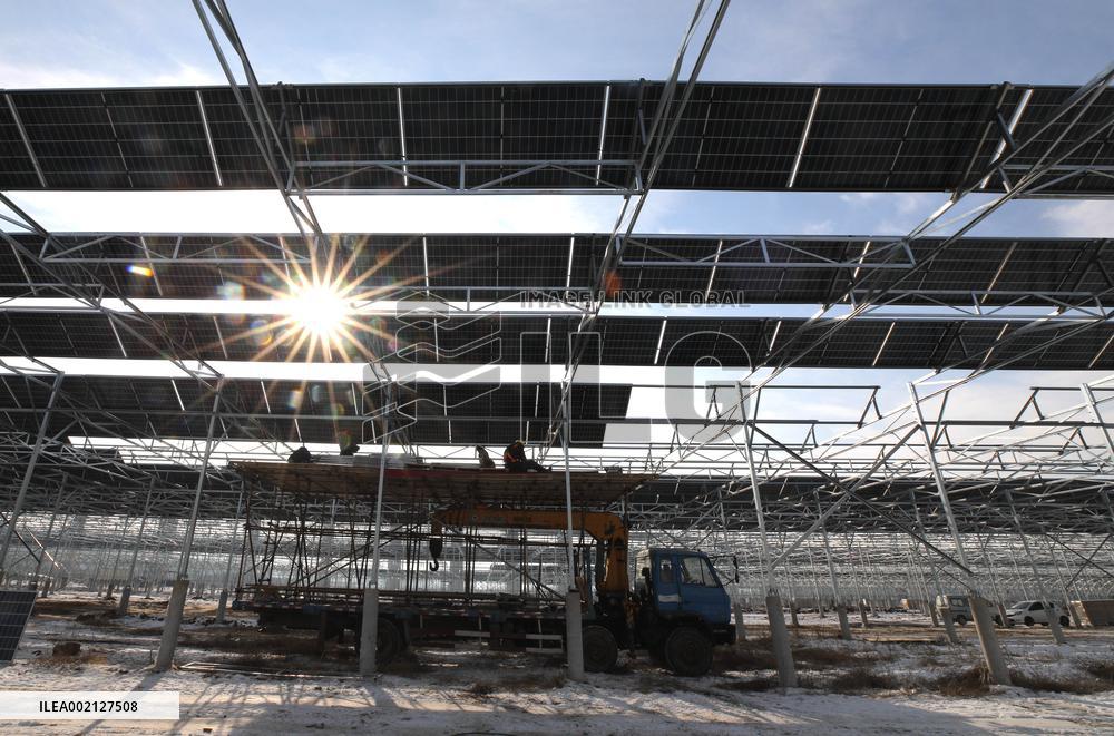 Ecological Agriculture Photovoltaic Industry