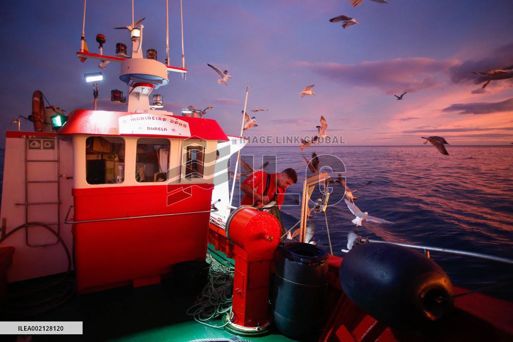 Fishing Trip In Galicia