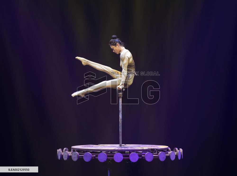 GERMANY-STUTTGART-CHINA-ACROBATICS