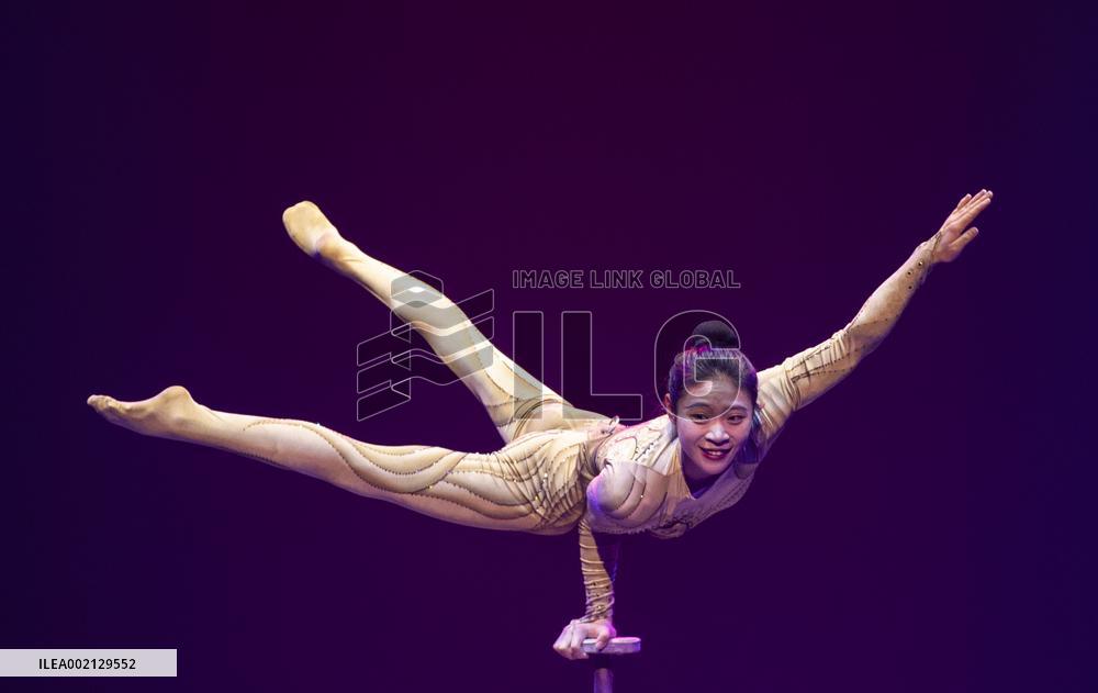 GERMANY-STUTTGART-CHINA-ACROBATICS