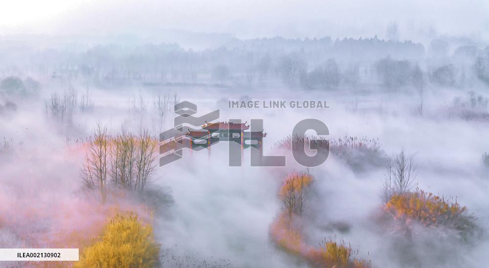 Heavy Fog in Hongze Lake Wetland