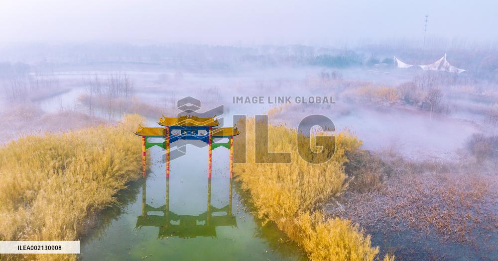 Heavy Fog in Hongze Lake Wetland