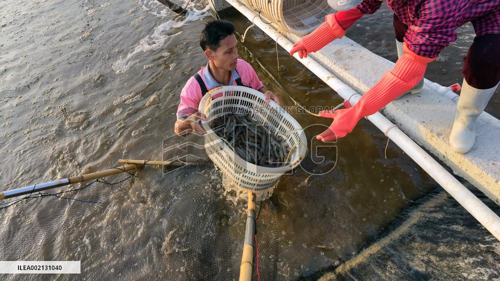 CHINA-GUANGXI-HEPU-AQUACULTURE INDUSTRY (CN)