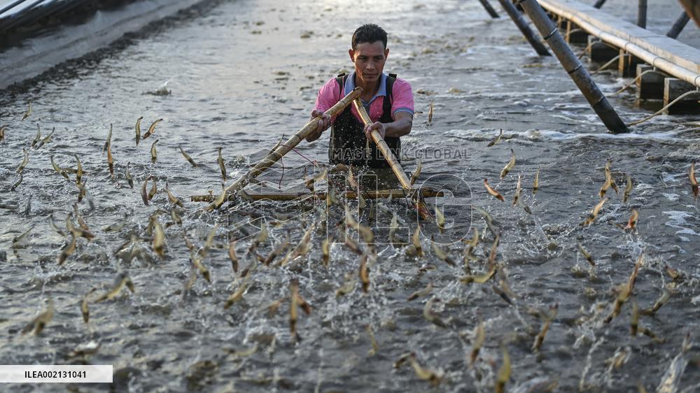 CHINA-GUANGXI-HEPU-AQUACULTURE INDUSTRY (CN)