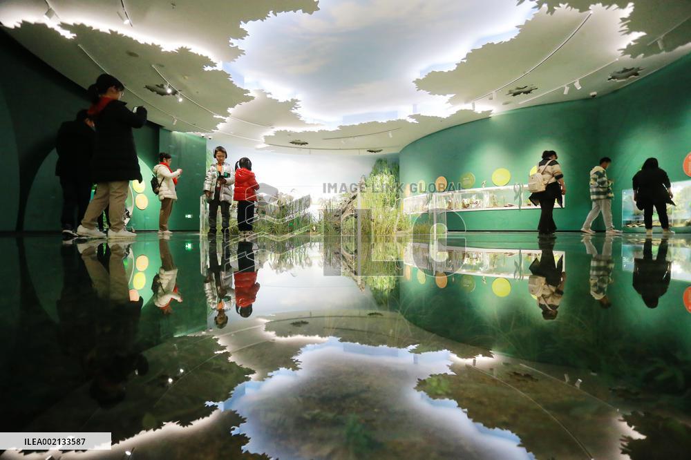 #CHINA-NEW YEAR-HOLIDAY (CN)