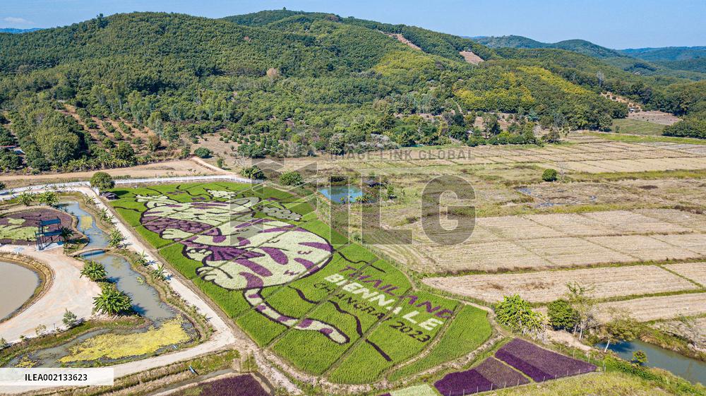 THAILAND-CHIANG RAI-RICE PADDY ART