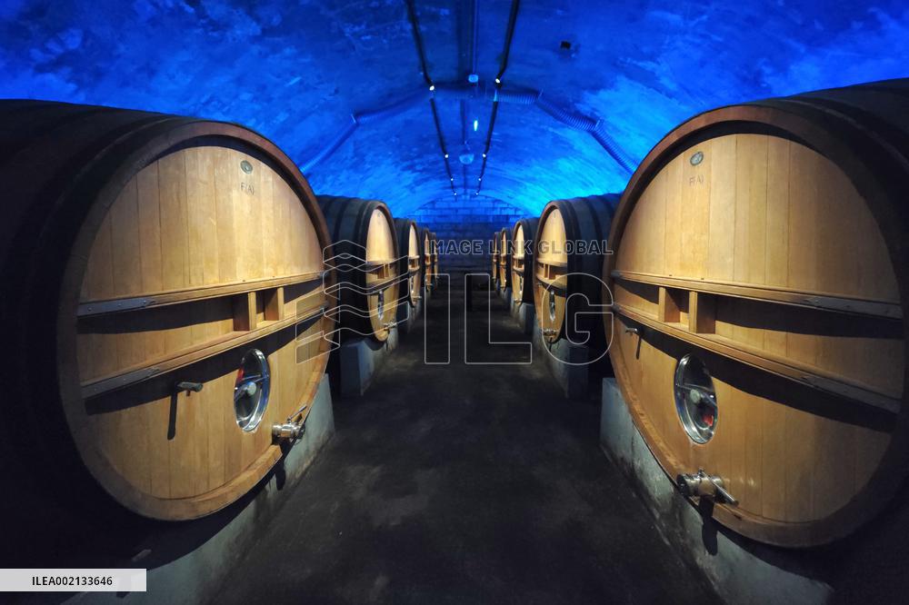 Changyu Underground Wine Cellar in Yantai
