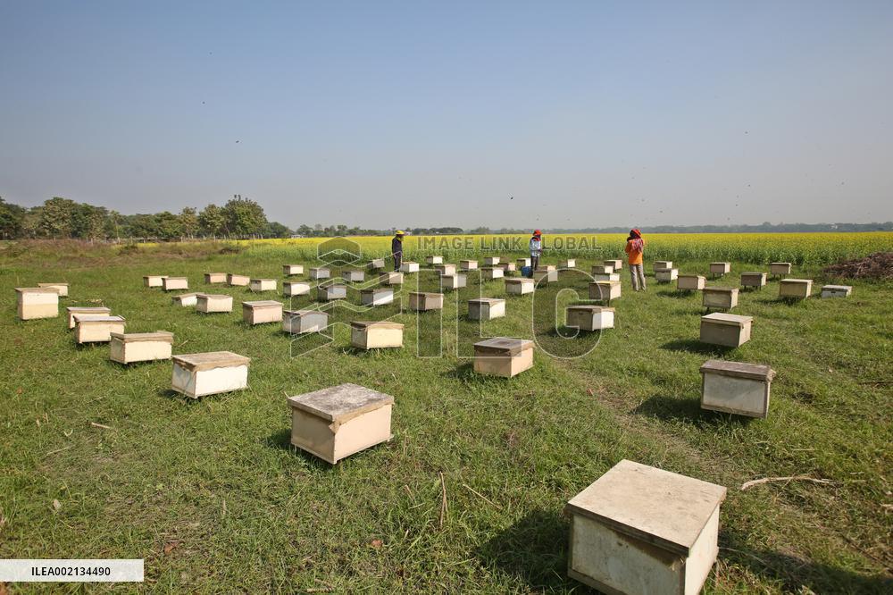 Bangladesh Beekeepers