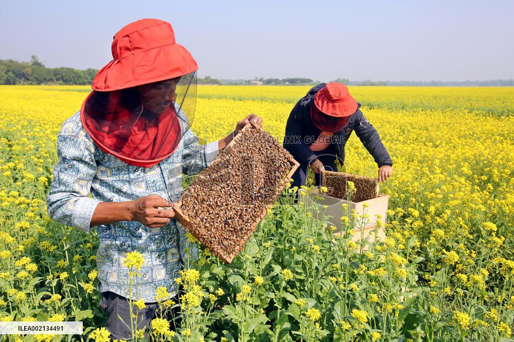 Bangladesh Beekeepers