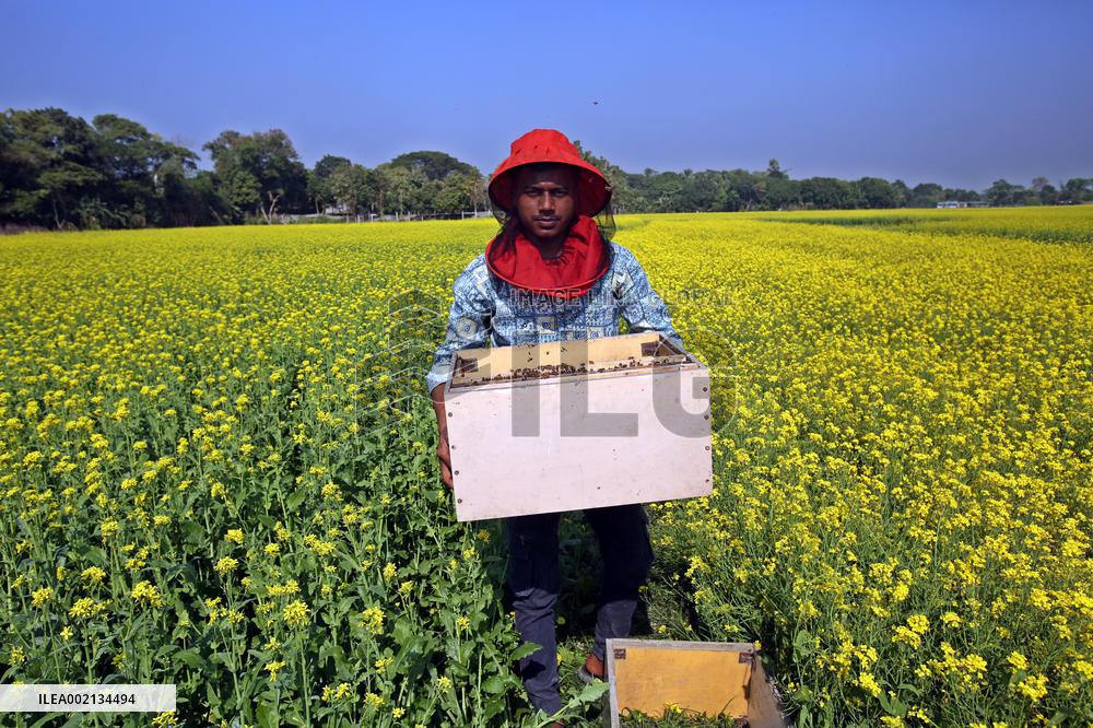 Bangladesh Beekeepers
