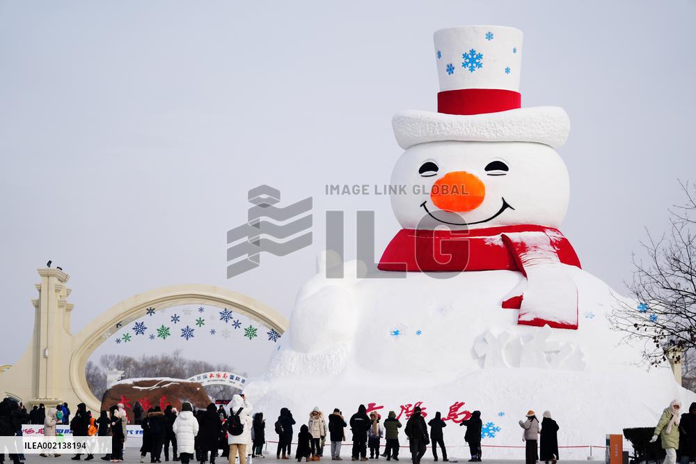 CHINA-HEILONGJIANG-HARBIN-NEW YEAR-HOLIDAY (CN)