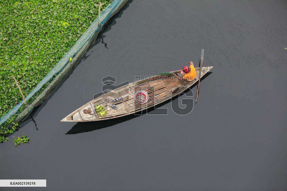 Fishermen Catch Fish - Bangladesh