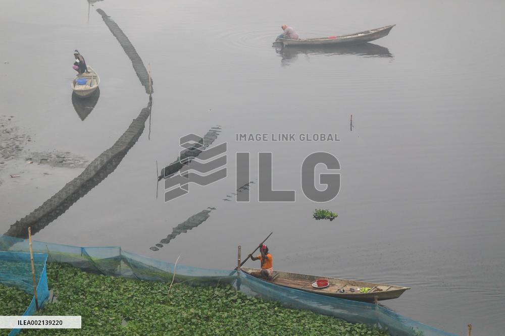 Fishermen Catch Fish - Bangladesh