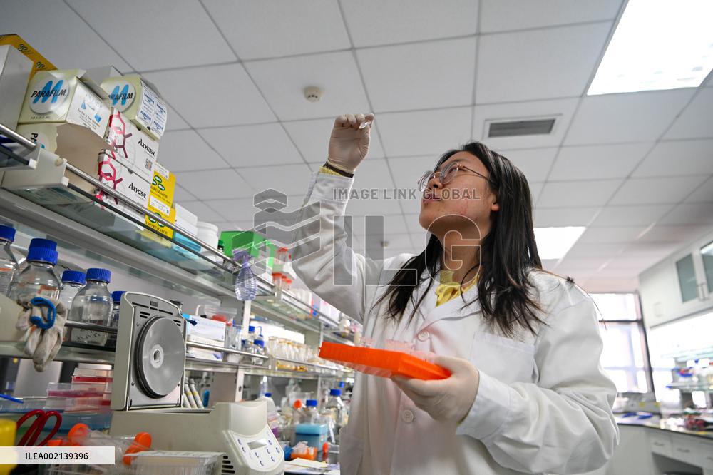 CHINA-NEW YEAR-WORKERS(CN)