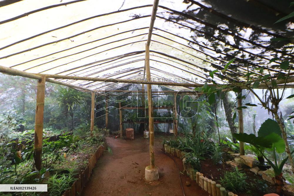 Xoxoctic Botanical Garden - Mexico