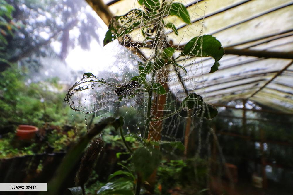 Xoxoctic Botanical Garden - Mexico