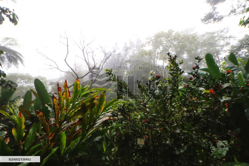 Xoxoctic Botanical Garden - Mexico