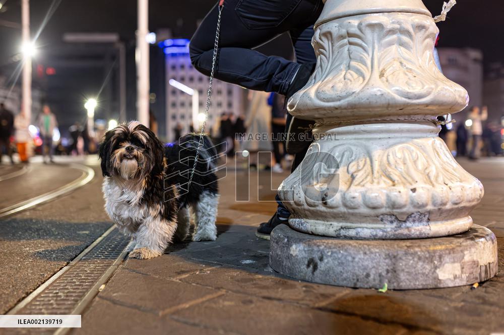 Daily Life - Istanbul