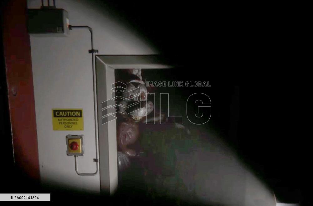 Mickey Mouse Copyright Expiration Inspires Video Game