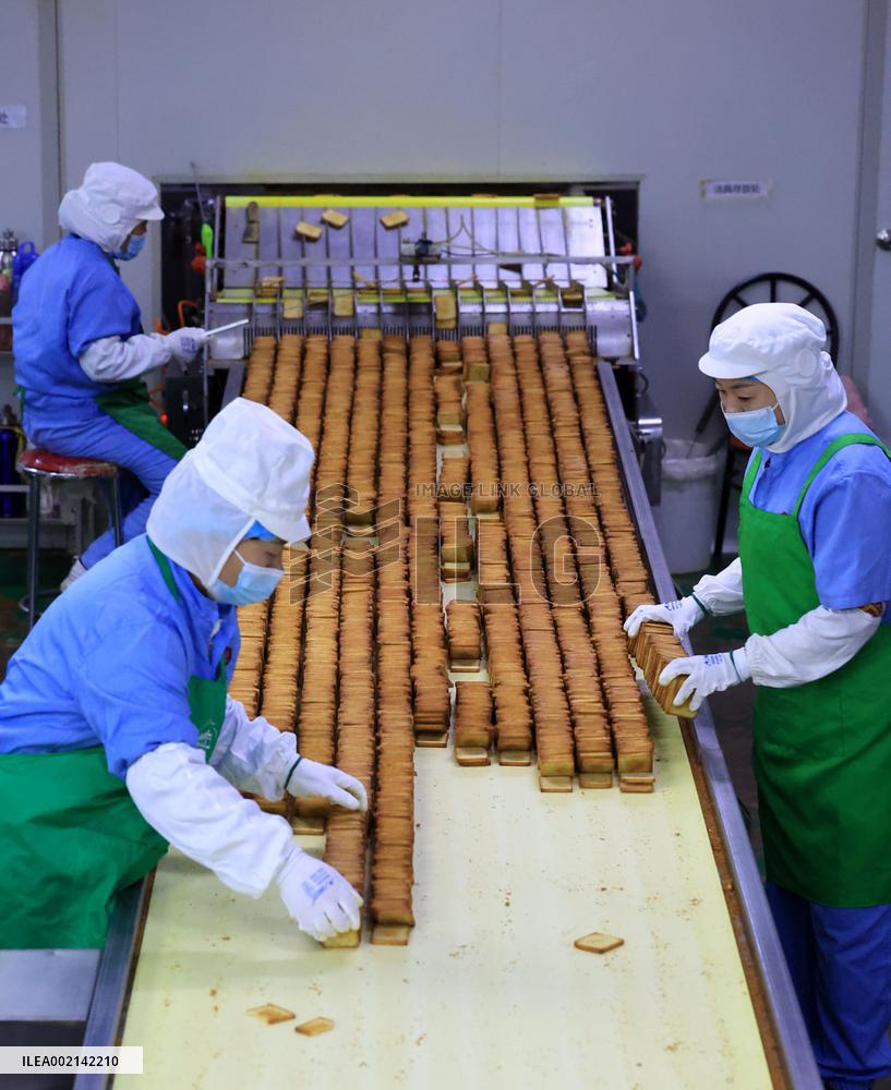 #CHINA-NEW YEAR-PRODUCTION (CN)