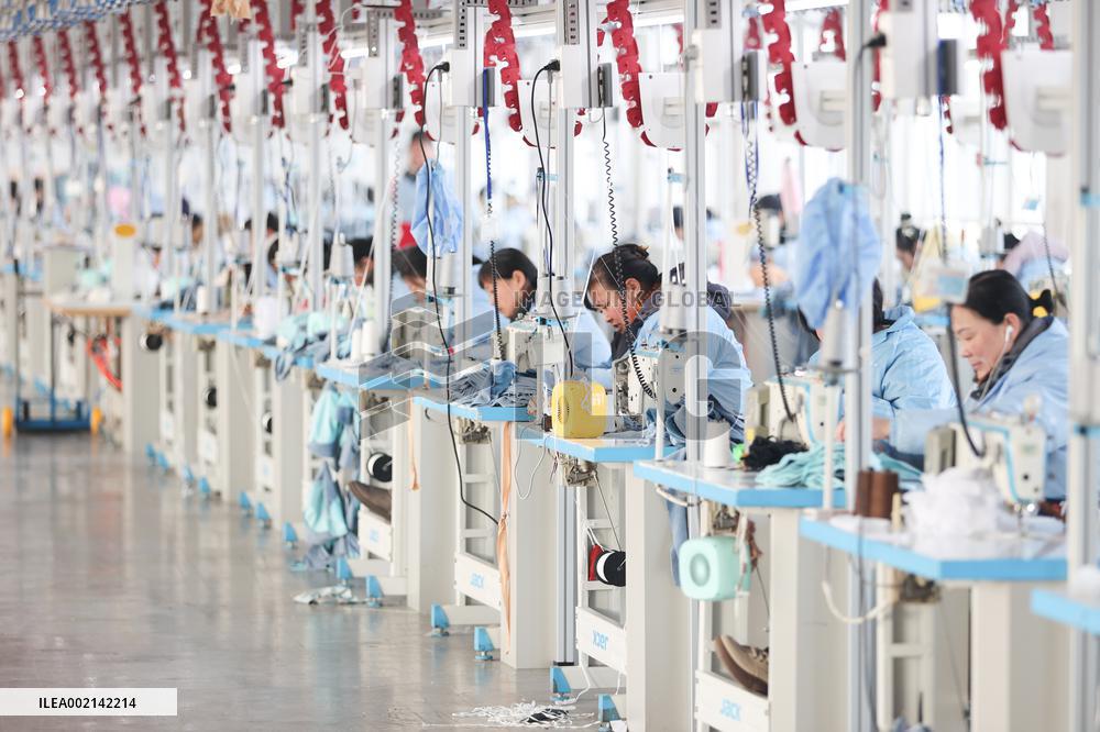#CHINA-NEW YEAR-PRODUCTION (CN)