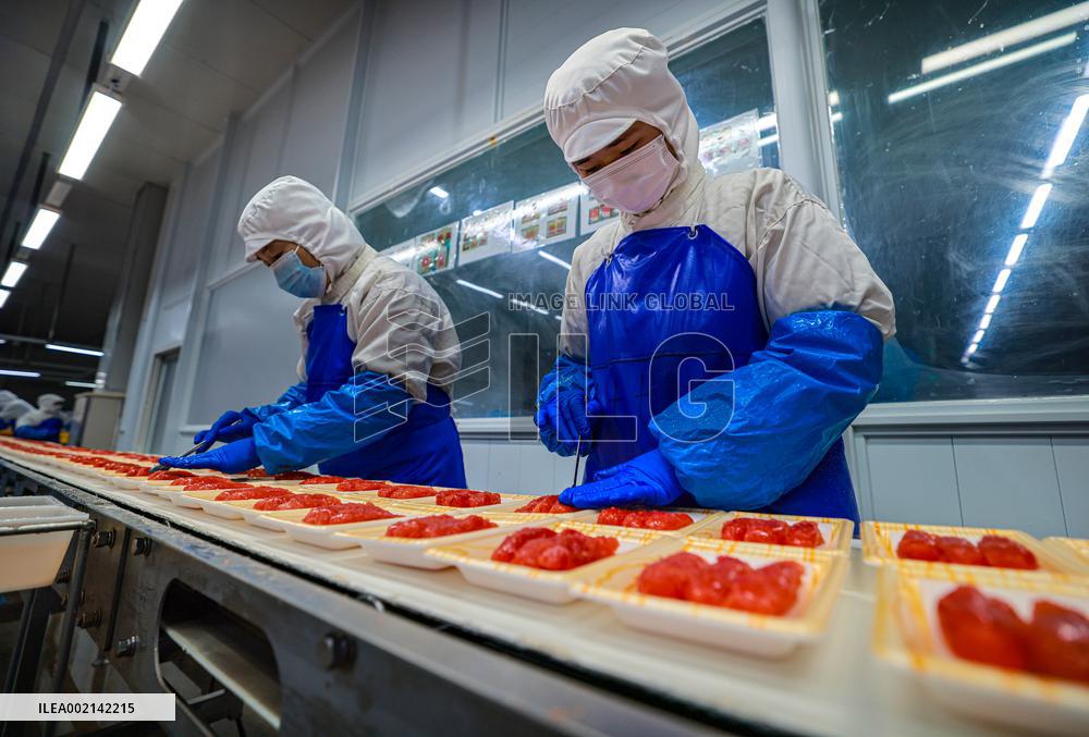 #CHINA-NEW YEAR-PRODUCTION (CN)