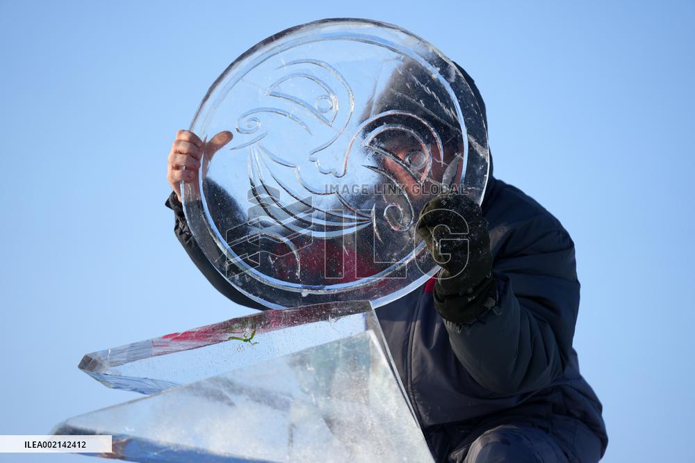 CHINA-HEILONGJIANG-HARBIN-ICE SCULPTURE COMPETITION (CN)