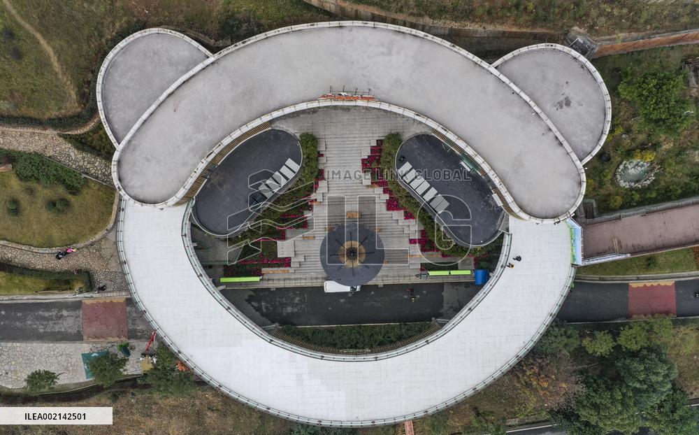 CHINA-CHONGQING-PANDA (CN)