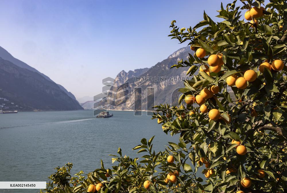 Ships Sail Along Yangtze River in Yichang