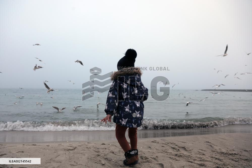 Foggy evening in Odesa in winter