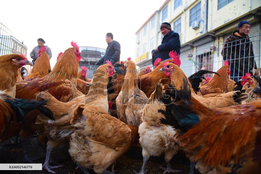 A Livestock And Poultry Market in Zaozhuang