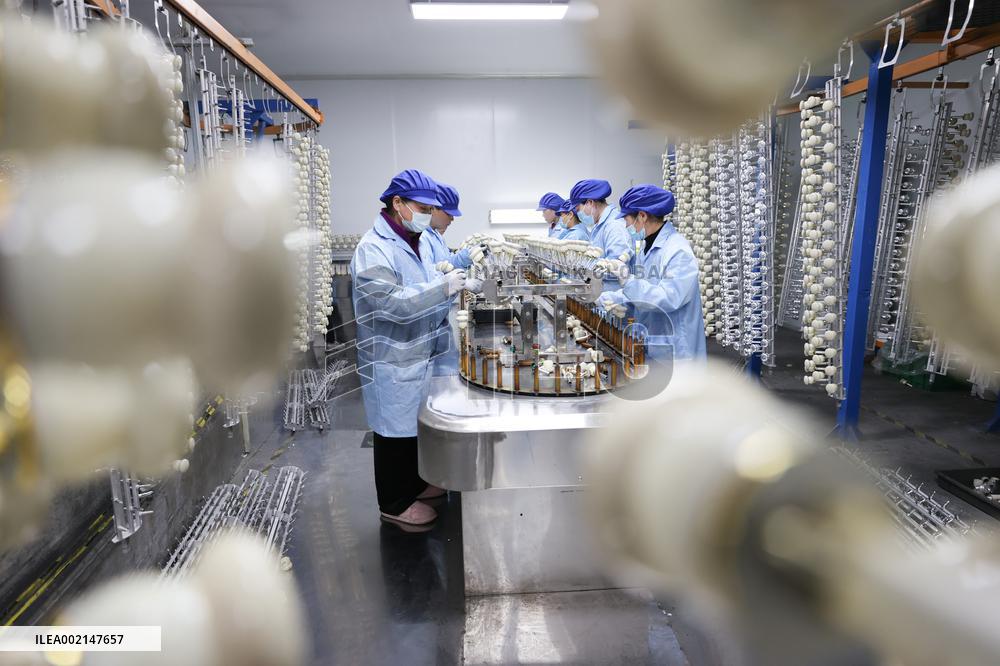 A Bottle Cap Company in Lianyungang