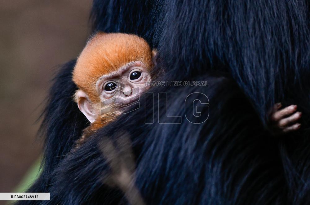 XINHUA-PICTURES OF THE YEAR 2023-CHINA NEWS