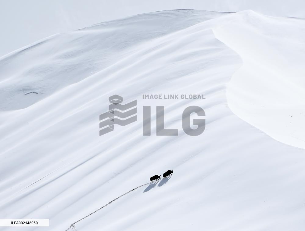 XINHUA-PICTURES OF THE YEAR 2023-CHINA NEWS