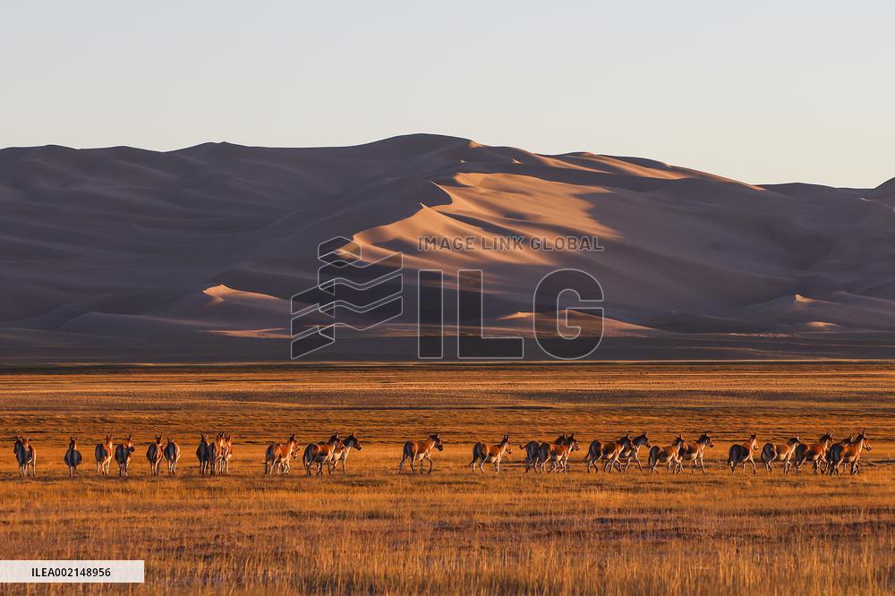 XINHUA-PICTURES OF THE YEAR 2023-CHINA NEWS