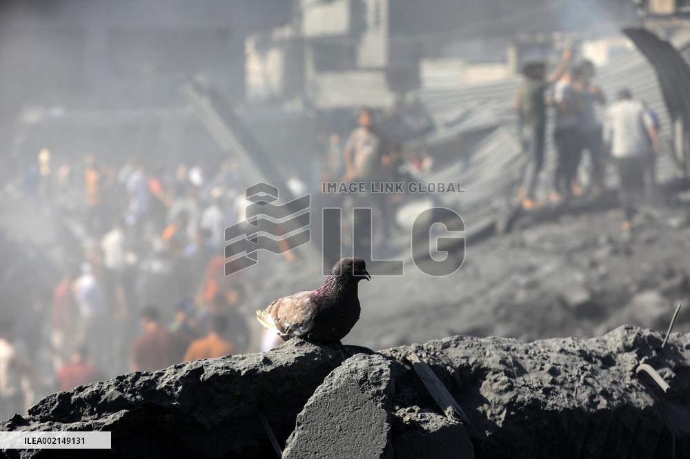 XINHUA-PICTURES OF THE YEAR 2023-WORLD NEWS