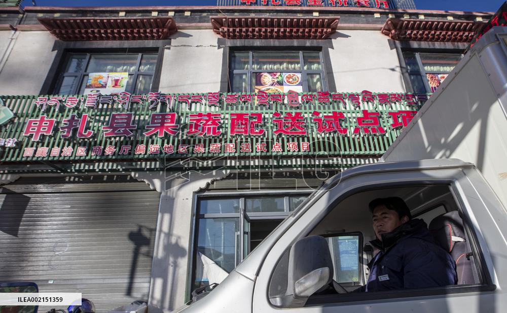 (InTibet)CHINA-XIZANG-NAGQU-XAINZA COUNTY-FRUITS AND VEGETABLES-PILOT PROJECT (CN)
