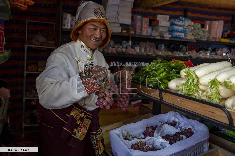(InTibet)CHINA-XIZANG-NAGQU-XAINZA COUNTY-FRUITS AND VEGETABLES-PILOT PROJECT (CN)