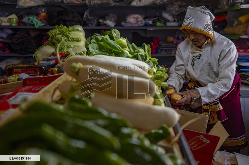 (InTibet)CHINA-XIZANG-NAGQU-XAINZA COUNTY-FRUITS AND VEGETABLES-PILOT PROJECT (CN)