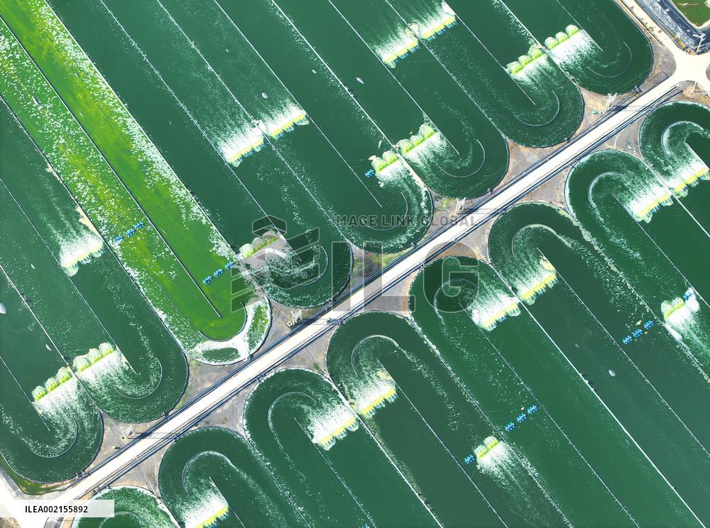 XINHUA PHOTOS OF THE DAY