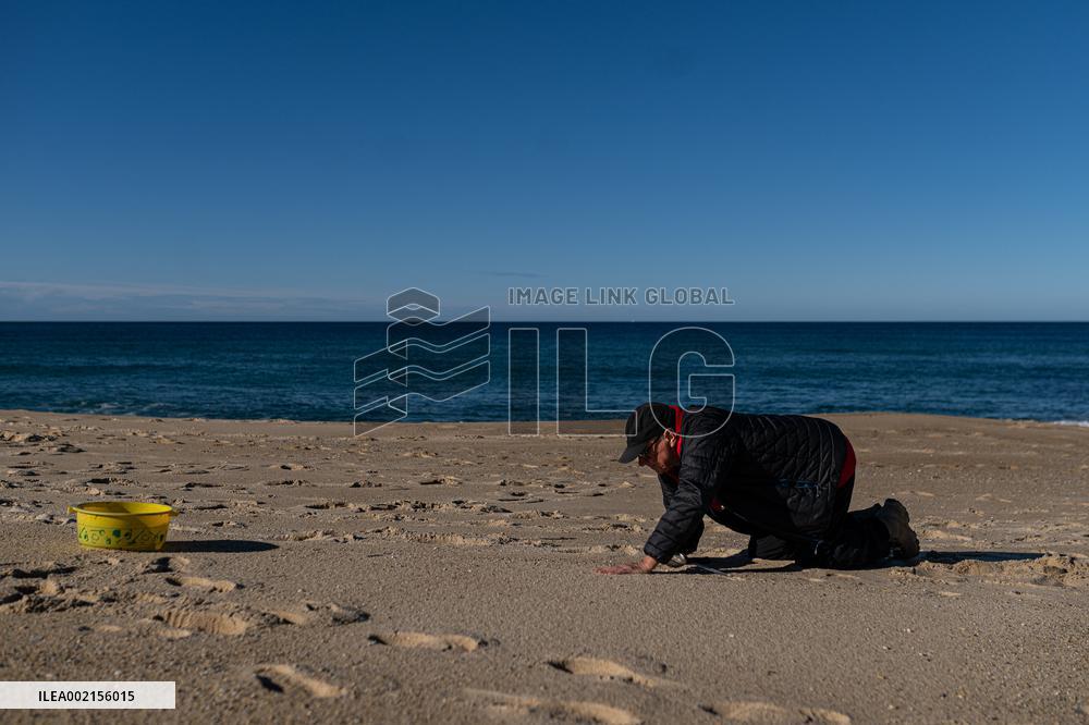 Pellet Cleaning Continues In Galician Sandbanks